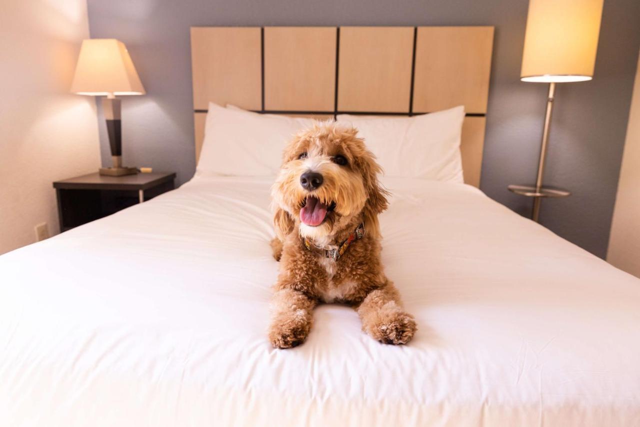 Sonesta Simply Suites Chicago Waukegan Kültér fotó